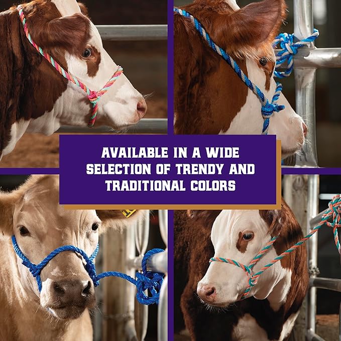 Weaver Livestock Braided Poly Rope Cattle Halter, Adjustable Style Cow Calf Halter, Livestock Handling Equipment for Showing, Hot Pink/Coral/Mint