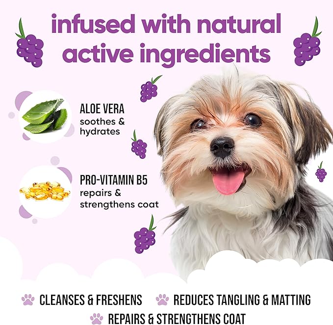 Grape Dog Shampoo by Buddycare | Deep Cleansing Shampoo for Dogs | Fresh Scented | with Aloe Vera and Pro Vitamin B5 (169.07oz)