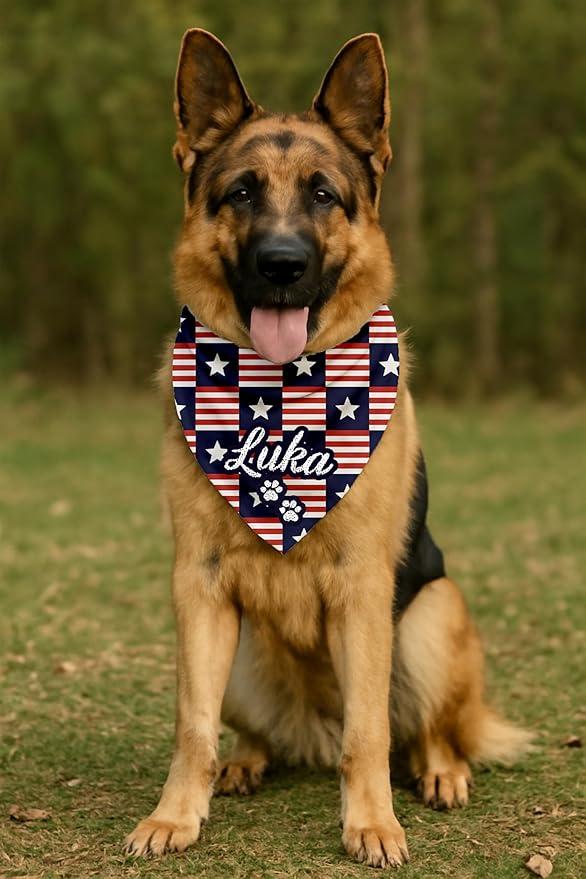 NAZENTI Personalized Dog Mom Sweatshirt, Cat Lovers Gift, Matching Dog and Owner Sweater, Gift Christmas Memorial Birthday