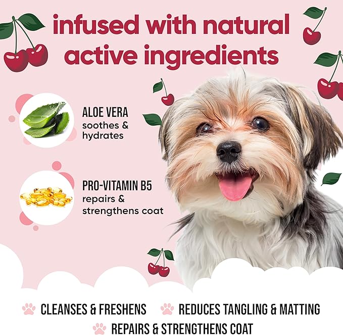 Black Cherry Dog Shampoo by Buddycare | Deep Cleansing Shampoo for Dogs | Black Cherry Scented | with Aloe Vera and Pro Vitamin B5 (169.07oz)