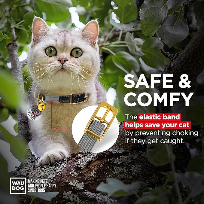 WAUDOG Ultra Soft Rolled Leather Cat Collar with Removable Bell, Safety Elastic Strap and QR ID Tag - Soft Padded for Small, Medium, and Large Cats - Round Kitten Collar for Male and Female Cats