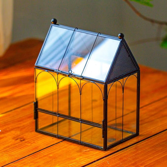 NCYP Small Glass Spider Enclosure with Mesh for Jumping Spiders, Snails, Micro House Shaped Front Opening Plant Terrarium, Home Decor Black, 5.8" x 3.8" x 7" (Terrarium Only)
