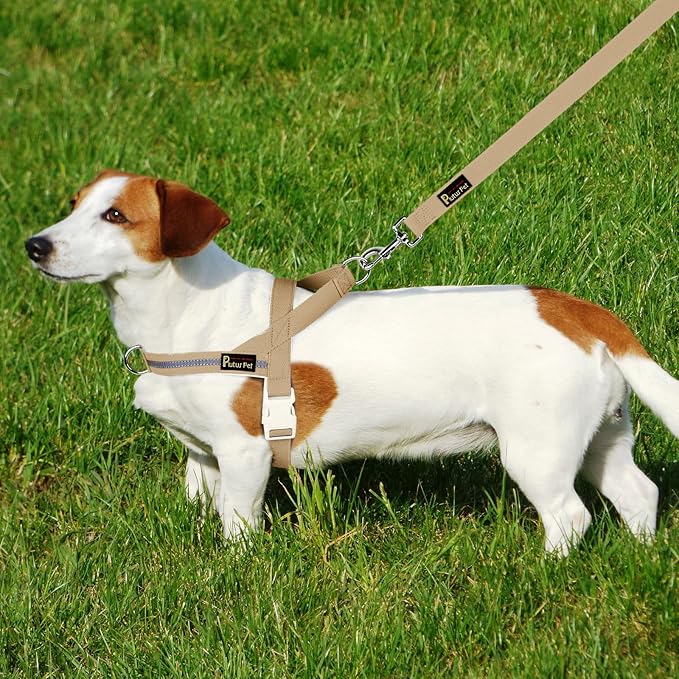Plutus Pet Cotton Dog Harness and Leash Set, Reflective and Soft Padded, Quick Fit Vest Harness, for Small, Medium and Large Dogs, Beige, M