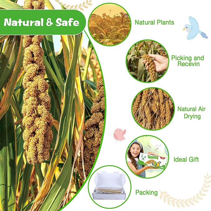 Millet for Birds 2.4LB, Natural Sun-Dried Millet Spray for Birds Seed No Stems Only Edible Tops for Parakeet, Budgies, Finches, Cockatiels, Parrots, Lovebird, Hamster and Other Pet Birds Bird Treat