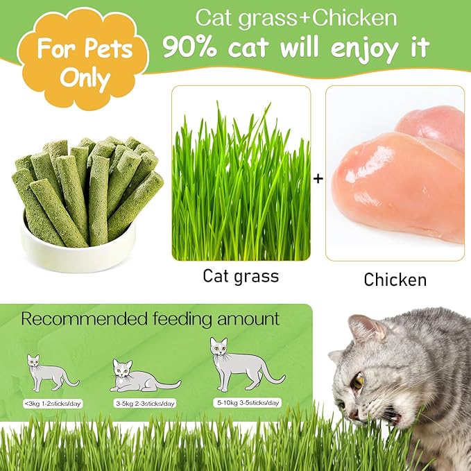 HavenJanny 50g Cat Grass Teething Stick, Freezed Drying Cat Grass Sticks Snacks for Cats, Edible Cat Treats for Teeth Cleaning and Hairball Removal