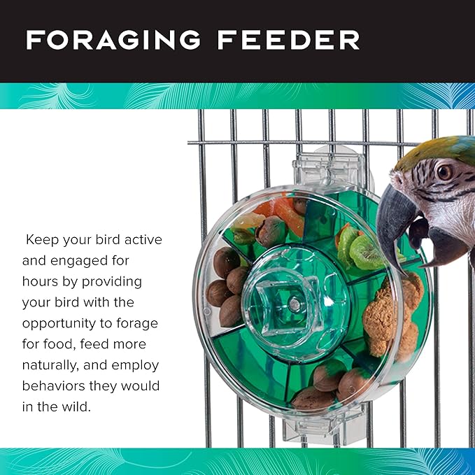 Featherland Paradise Creative Foraging Systems Foraging Wheel, Interactive Bird Cage Toy Feeder