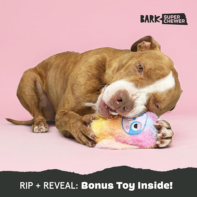 Barkbox Grateful Ted Dog Toy for Medium Dogs – Strawberry-Scented Rip & Reveal Toy for Determined Chewers and Interactive Playtime