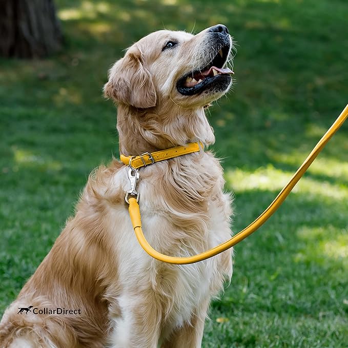 CollarDirect Rolled Leather Dog Collar, Soft Padded Round Puppy Collar, Handmade Genuine Leather Collar Dog Small Large Cat Collars 13 Colors (11-14 Inch, Yellow Textured)