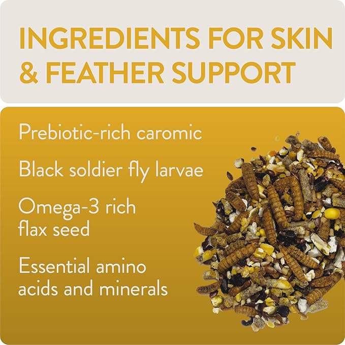 Shine, Functional Poultry Treats for Skin and Feather Support, 3.5 lb