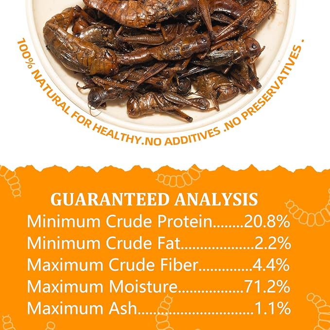 6 Pack Canned Grasshoppers for Reptiles, Fish, Birds and Small Animals, Grasshoppers, Healthy High Protein Treat, Bearded Dragon Food 7.2 Ounces Total