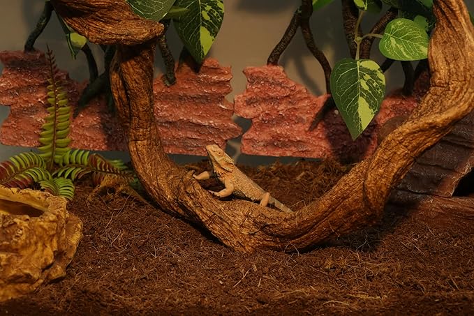 AQUA KT Reptile Twist Climber Vine Bendable Branch for Lizard Snake Bearded Dragon Crested Gecko Climbing Accessory Terrarium Habitat Decoration
