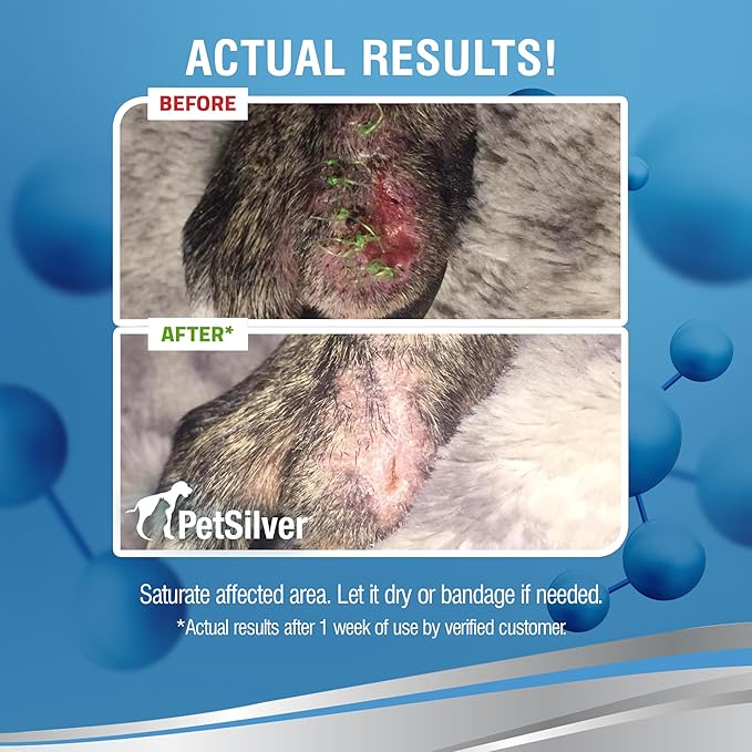 PetSilver Wound & Skin Spray - Dog Wound Spray, Hot Spot, Allergy Relief for Dogs, Itch Spray for Cats - Natural Skin Soother - Chelated Silver, Superior to Colloidal Silver - Made in USA - 4 fl oz