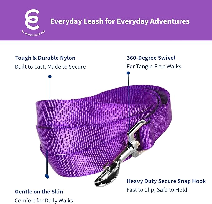 Blueberry Pet Essentials Dark Orchid Dog Leash for Medium - 5' * 3/4" Dogs | Heavy Duty Nylon Lead | Lightweight Puppy & Cat Leash for Walking & Training