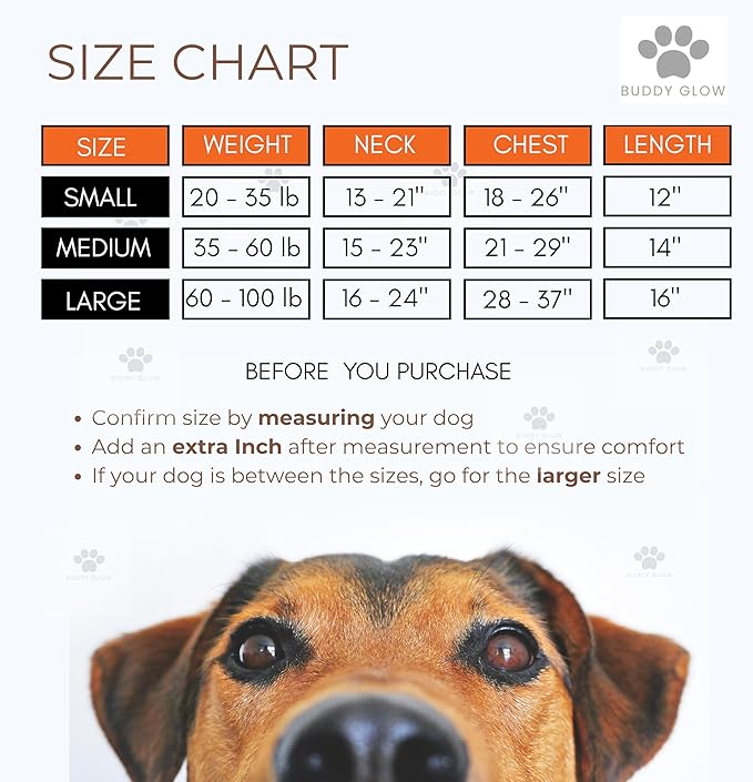 Reflective Dog Vest: Hi-Visibility Safety Gear for Outdoors. Safeguard Your Dog with Easy to wear Adjustable Reflective Vest Jacket (Medium)