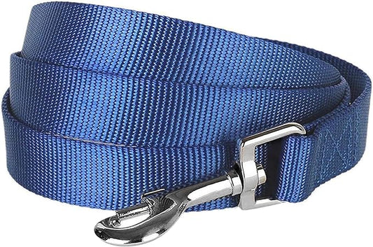 Blueberry Pet Essentials Royal Blue Dog Leash for X-Small -5' * 3/8" Dogs | Heavy Duty Nylon Lead | Lightweight Puppy & Cat Leash for Walking & Training