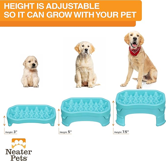 Neater Pet Brands – Neater Raised Slow Feeder Dog Bowl – Elevated and Adjustable Food Height - (6 Cup, Aquamarine)
