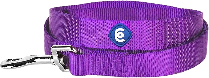 Blueberry Pet Essentials Dark Orchid Dog Leash for Small -5' * 5/8" Dogs | Heavy Duty Nylon Lead | Lightweight Puppy & Cat Leash for Walking & Training