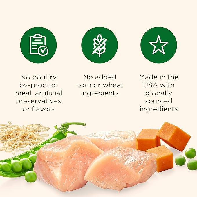 Nutrish Rachael Ray Wet Dog Food Chunks in Gravy Real Chicken & Veggies Recipe, 13 oz. Can, 12 Count