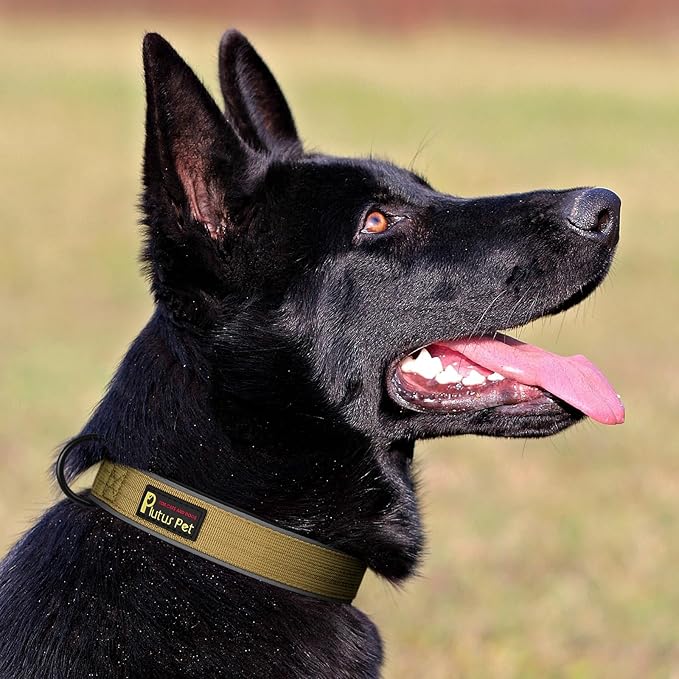 Plutus Pet Tactical Dog Collar, Reflective, Adjustable Heavy Duty Dog Collar, Soft Padded and Comfortable, for Small Medium and Large Dogs (Brown, L)