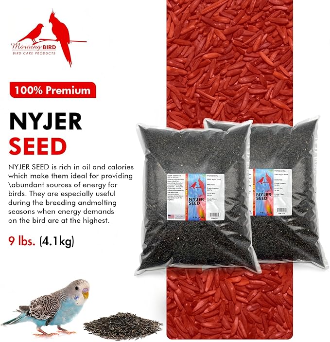 Morning Bird Nyjer Seed for Birds 18 lbs (2-Pack, 9 lbs Each)– Energizing Nutrition with Rich in Vitamins and Supplements – Ideal Bird Food for Breeding & Molting – Finch Seed for All Birds