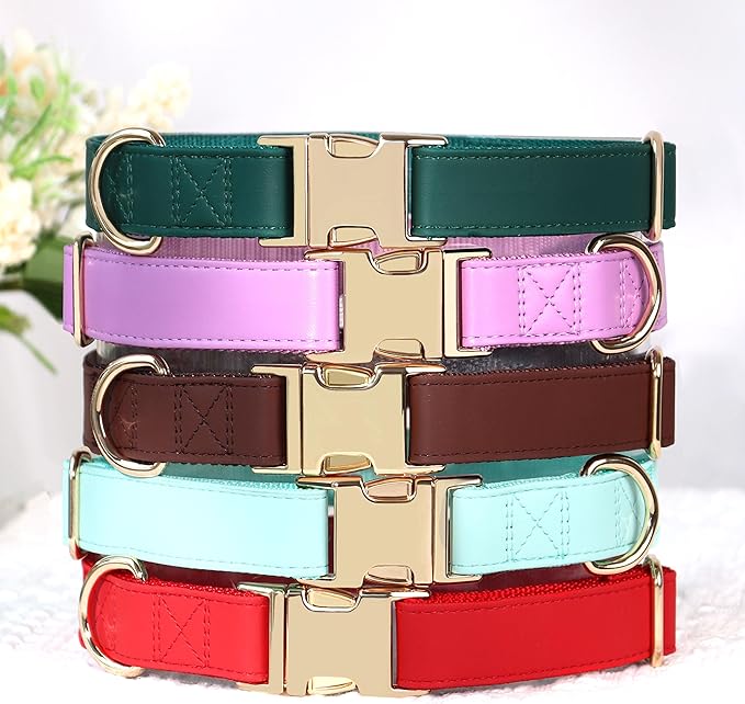 PET ARTIST PU Leather Dog Collar, Bright & Stylish Purple Dog Collar Girl with Quick Release Gold Metal Buckle, Soft Nylon Padded Durable Pet Collars Adjustable for Medium Dogs, Neck Fit 13-19"