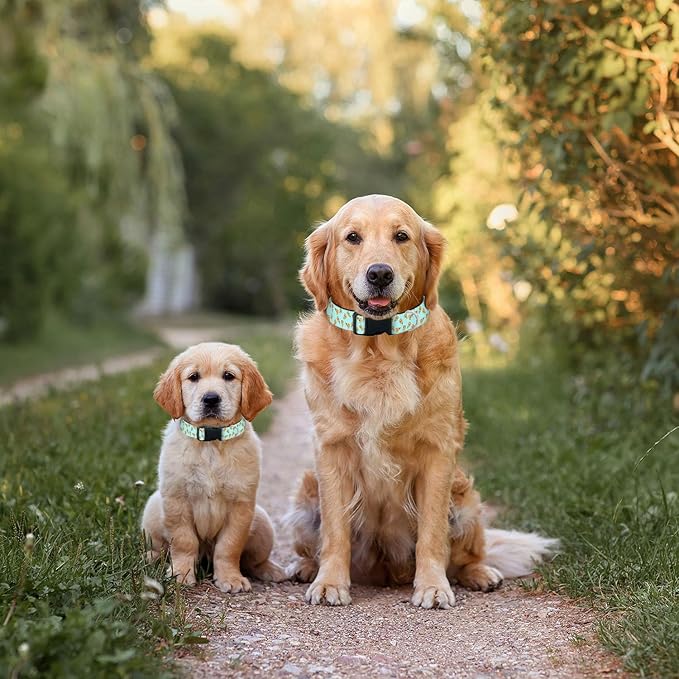 Pizza Fast Food Dog Collar Pet Neck Strap for Small Medium Large Dogs Soft Adjustable Buckle