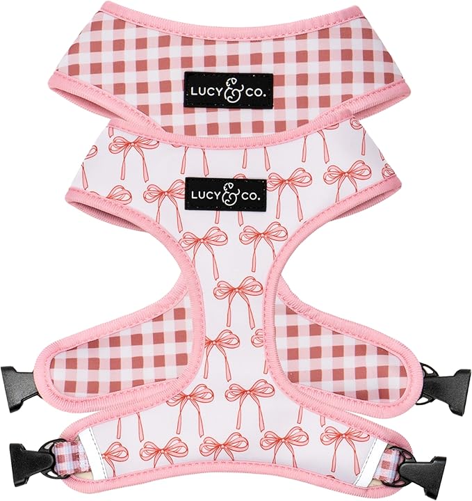 Lucy & Co. Cute Reversible Dog Harness Walking Halter - Best Designer Pet Harnesses for XS - XL Dogs - Padded Adjustable Vest for Easy Walking (Small, Ballet Bows - White & Pink Bows)