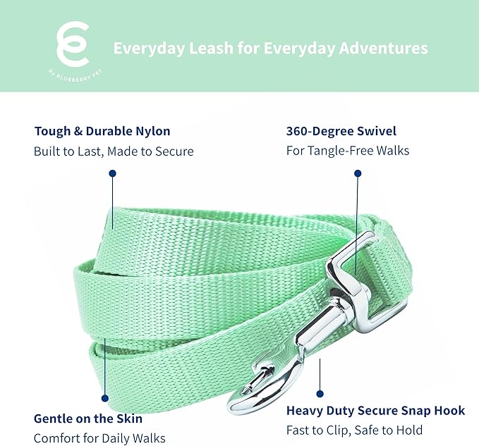 Blueberry Pet Essentials Pastel Green Dog Leash for Medium - 5' * 3/4" Dogs | Heavy Duty Nylon Lead | Lightweight Puppy & Cat Leash for Walking & Training