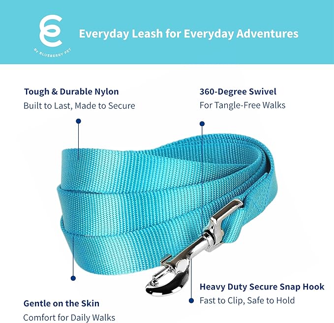 Blueberry Pet Essentials Turquoise Dog Leash for X-Small -5' * 3/8" Dogs | Heavy Duty Nylon Lead | Lightweight Puppy & Cat Leash for Walking & Training