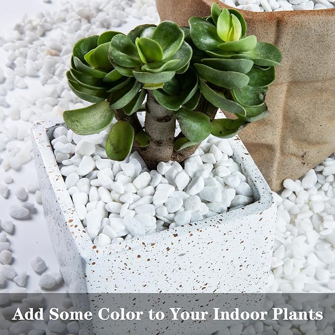 5lb River Rocks Polished Silica Gravel for Plants Garden, Decorative Pebbles Ideal for Fish Tank, Vases, Succulents, Crafting, Home Decor and Garden Landscaping, Snow White(0.2-0.3”)