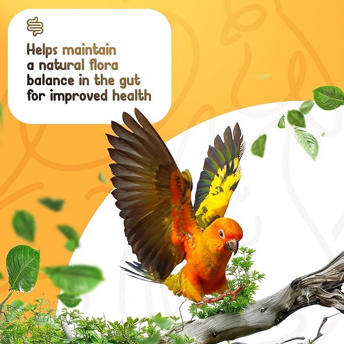 Parrot Probiotic, Prebiotic and Postbiotic, Pet Bird Supplies, Used with Water, Vitamins, Budgie Treats, Baby Parrot Formula, Parrot Medicine, Mix in Parrot Food