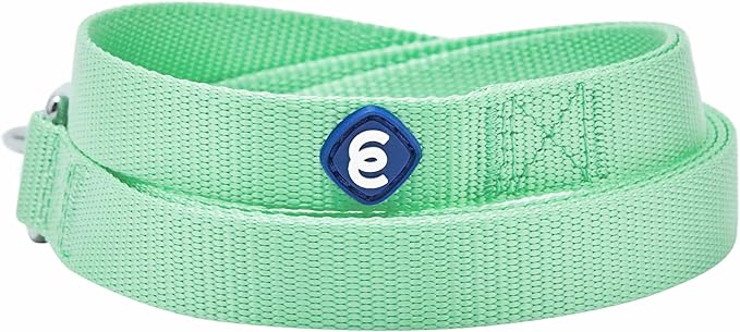 Blueberry Pet Essentials Pastel Green Dog Leash for Small -5' * 5/8" Dogs | Heavy Duty Nylon Lead | Lightweight Puppy & Cat Leash for Walking & Training