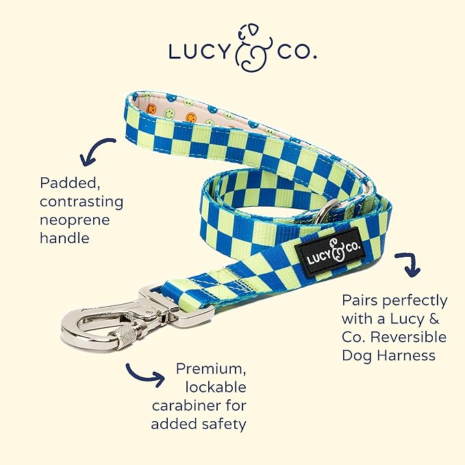 Lucy & Co. Designer Dog Leash - Pet Accessories - Thick Dog Leash - Padded Handle for Comfort - Purple with Green Floral - 5 Foot (Lime Green Blue Checker, Large)