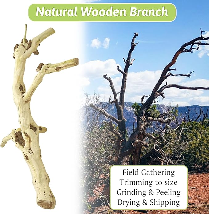 VCEPJH 4 Pcs Reptile Plants, Climbing Wood Branch Terrarium Hanging Fake Plant Leaves Bearded Dragon Tank Accessories, Habitat Decor for Snake Leopard Gecko Lizard Chameleon (Style 2)