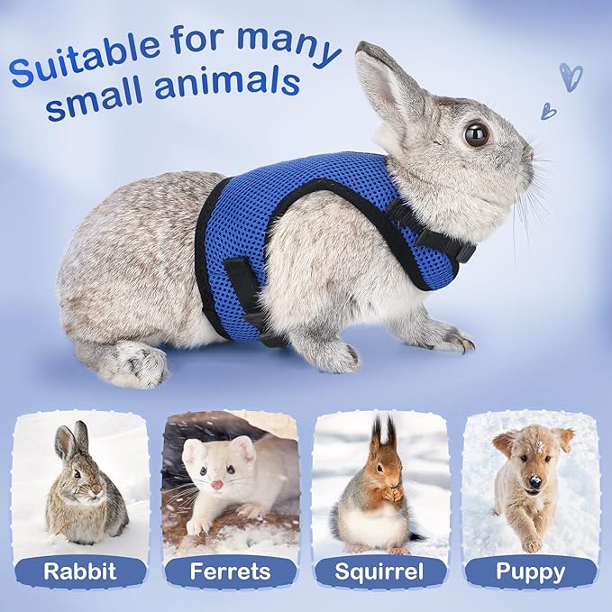 PETTOM Bunny Rabbit Harness with Stretchy Leash Cute Adjustable Buckle Breathable Mesh Vest for Kitten Small Pets Walking (Blue,XS)