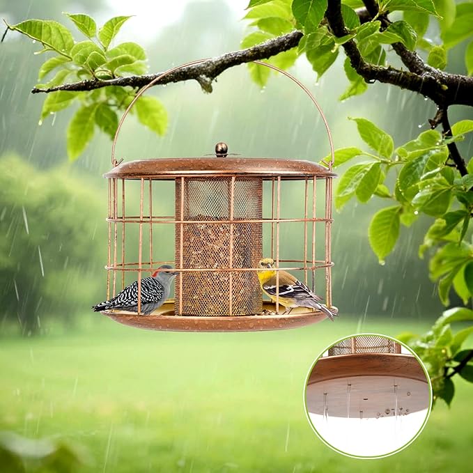 Metal Caged Bird Feeder, Squirrel Proof Bird Feeders for Outdoors Hanging, Wild Bird Feeder for for Small Birds, Squirrel Chew & Weather Resistant, Backyard Gift, Easy to Refill & Clean, 2Lbs