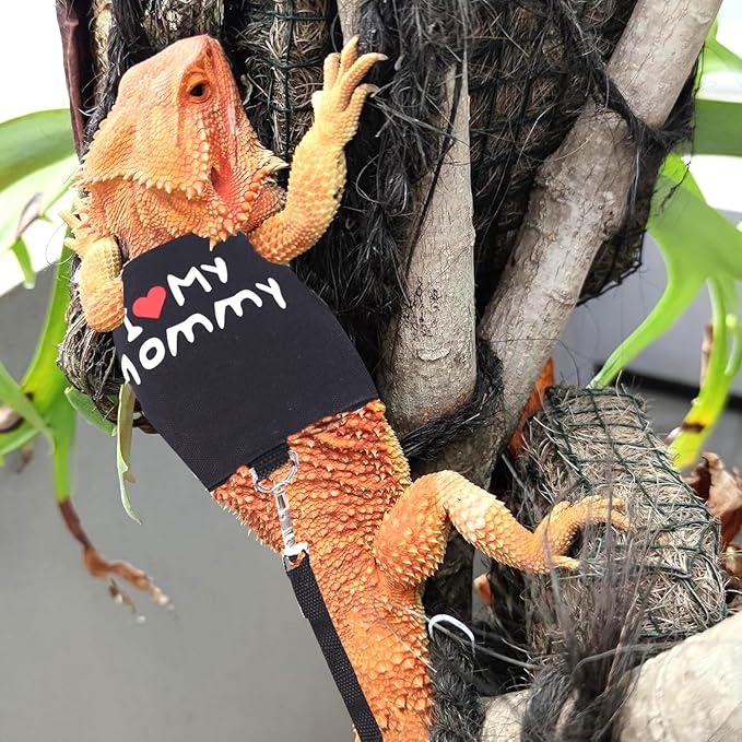 Adjustable Harness Clothes with Leash for Walking Outdoor Bearded Dragon Harness and Leash Set for Lizards,Chameleon,Reptile,Dress Your Bearded Dragon in The Best Outfit,Halloween Costume Accessories