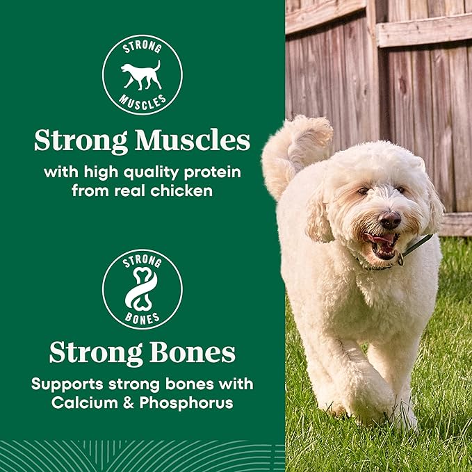 Nutro Natural Choice Chicken & Brown Rice Adult Dry Dog Food Recipe, 36 lb. Bag