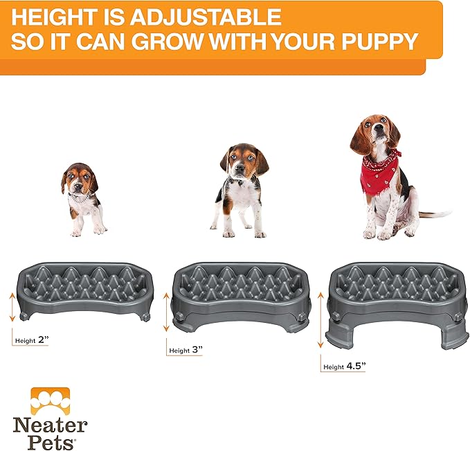 Neater Pet Brands – Neater Raised Slow Feeder Dog Bowl – Elevated and Adjustable Food Height - (2.5 Cup, Gunmetal)