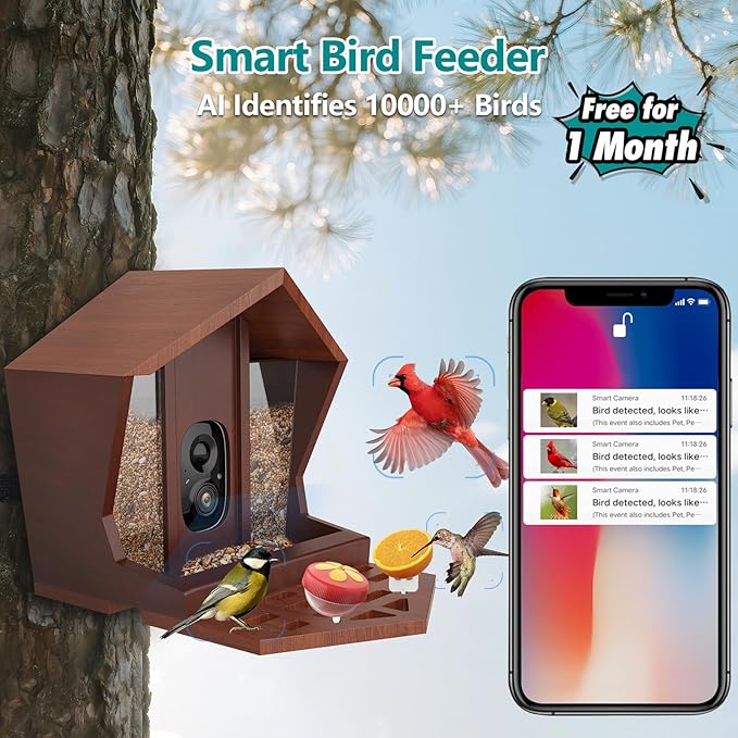 Smart Bird Feeder with Camera Solar Powered AI Identification 10,000+ Bird 2K UHD Video Live Instant Arrival Alerts and Real-Time Motion Detection Weatherproof Bamboo for Outdoor Birds Lovers