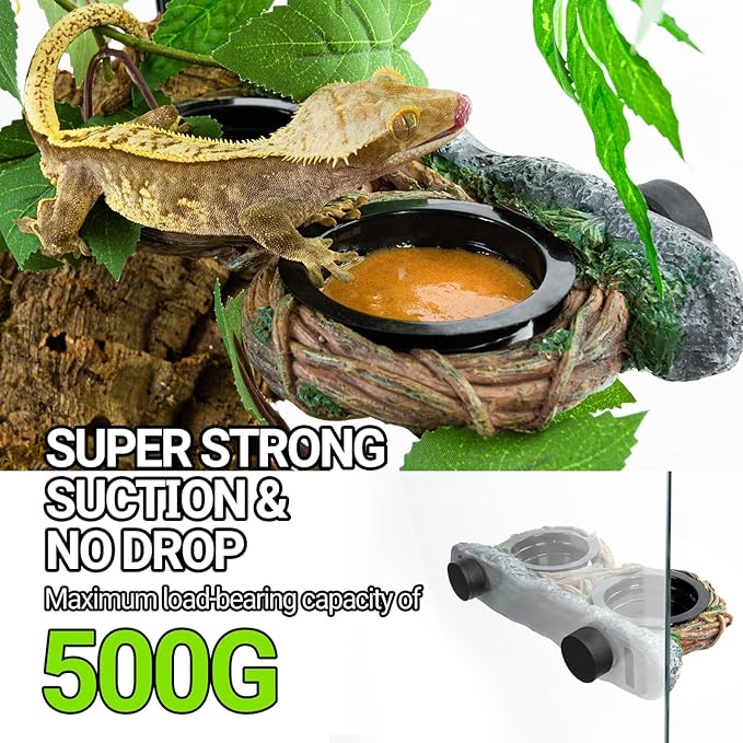 REPTI ZOO Magnetic Reptile Feeder Ledge, Gecko Feeder with 4 Cups, Hollow Vine Food Dish, Water Bowl for Lizard & Snake, Terrarium Accessories