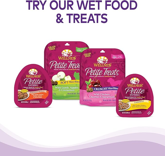 Wellness Complete Health Senior Dry Dog Food, Small Breed, Wholesome Grains, Natural, Age Advantage Turkey & Peas Recipe, (4-Pound Bag)