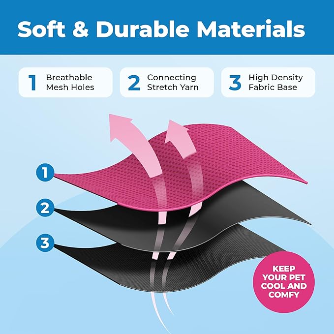 Voyager Escape Proof Cat Harness and Leash Set with Reflective Stitching, Neoprene Handle 5ft - Supports Small, Medium and Large Cats, Kittens for Walking by Best Pet Supplies - BT-Fuchsia, XXXS