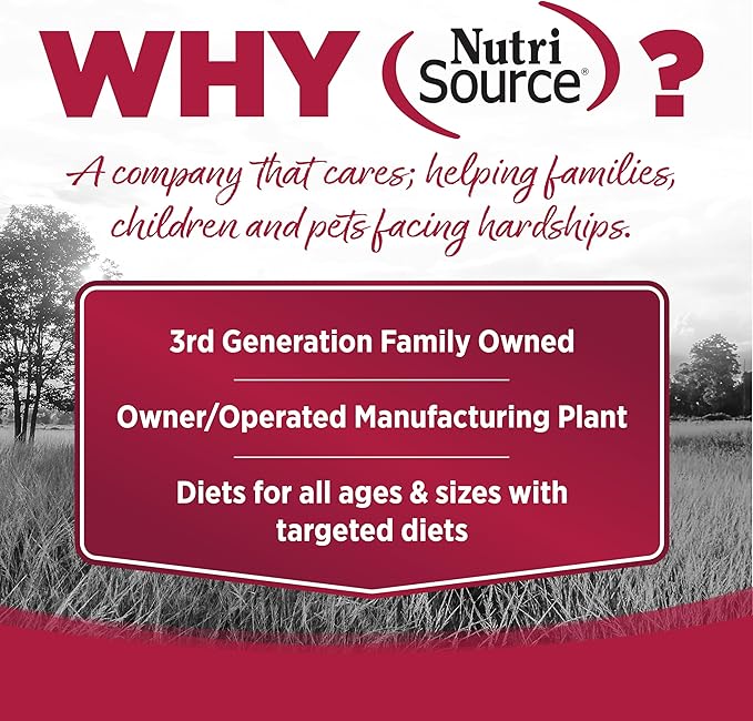 NutriSource Grain Free Seafood Select Recipe Dog Food, Premium Wet Dog Food, 12.3 Ounce (Pack of 12)