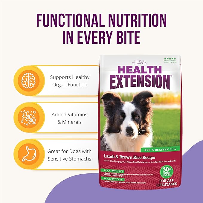 Health Extension Lamb & Brown Rice Dry Dog Food, Protein Packed Formula with Probiotics & Superfoods for Digestion & Coat Health (1lb)