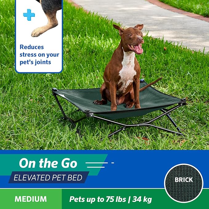 Coolaroo On-The-Go Elevated Dog Bed - Foldable Pop-Up Travel Dog Bed with Breathable, Moisture-Resistant Fabric, Carry Bag Included, Lightweight & Portable, Brunswick Green, Medium