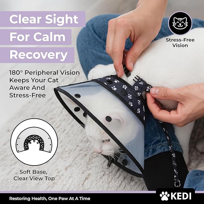 Cat Recovery Cone Kit Post Surgical Soft Pet Vest, Collar, and Non-Irritating Protection Cone for Cats - Comfortable Injury Care Solution (Black, M)