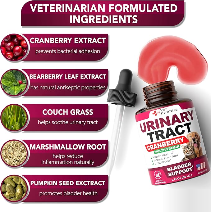 Cat & Dog UTI Treatment - Urinary Tract Infection Treatments with Cranberry - Dog & Cat UTI Medicine - Advanced Kidney & Bladder Support Multivitamin - Renal Health Supplement Vitamins - Made in USA