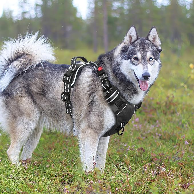 Timos Dog Harness,NO Need Go Over Dogs Head 3 Snap Buckles Pet Harness with 2 Leash Clips,Adjustable Soft Padded No-Pull,Reflective No-Choke Oxford Vest for Small Medium Large Dogs,X-Large(Packof1)