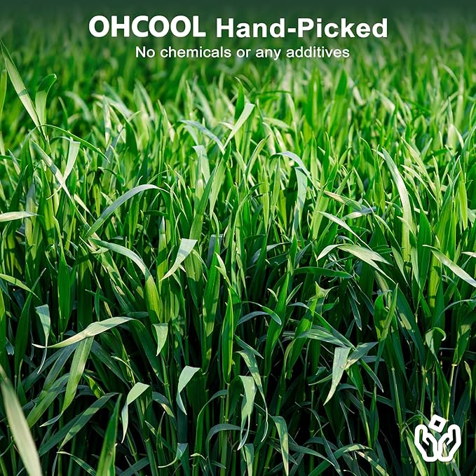 Premium Oat Hay for Pets - Dust Free Natural Green Fresh Pet Food Hay for Rabbits, Guinea Pigs, Chinchillas, Hamsters & Gerbils - 2.2lbs (2 packs of 1.1lbs）